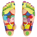Foot Reflexology Chart icon