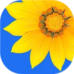 Gallery icon