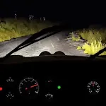 Endless Night Drive icon