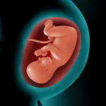 Astha Pregnancy & Parenting icon