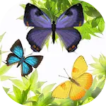 Butterfly and Blossom live wal icon
