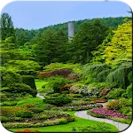 nature wallpaper icon