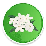 Udupi Mallige - Jasmine Flower icon