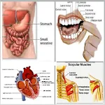 Biology Notes With Pictures icon