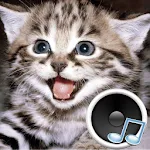 Animal sounds. Learn and play. icon