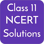 Class 11 NCERT Solutions