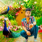 Peacock Lyrical Photo Editor icon