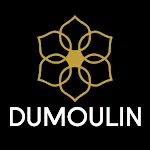 Dumoulin Travel Guides icon