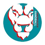 SG Rot-Weiss Babenhausen icon