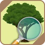 Identifier trees and plants icon