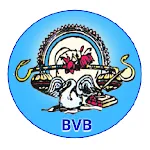 Bharti Vidhya Bhawan Banswara icon