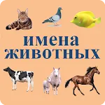 Animals names in Russian icon