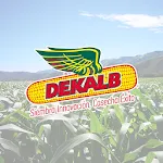 DK-Experto icon