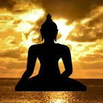 Nature Sounds Radio - Relax icon