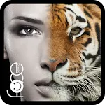 Beauty Face Plus :  face morph icon