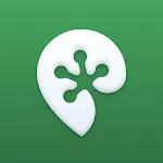 VPN-Cheap icon