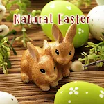 Natural Easter Theme icon