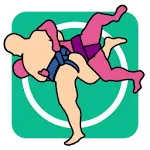 Sumo Techniques icon