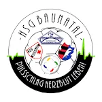 HSG Baunatal icon