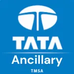Ancillary icon