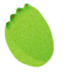 Succulent Light Meter icon