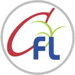 Instant Personal Loan app–CFL icon