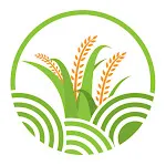 Paddy Procurement icon