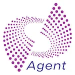 DSB Agent icon
