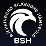BSH icon