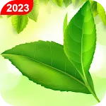 Green Leaf Live Wallpaper HD icon