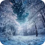 Winter Wallpapers 4k icon