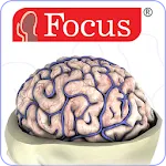 NEUROANATOMY - Digital Atlas icon