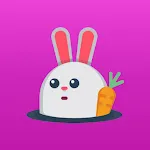 BunnyLive - LiveStream & Chat icon