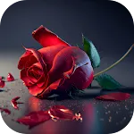 Rose Flower Images icon