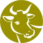 Bhumika - ARMS icon
