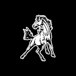 Mullen Public School Broncos icon