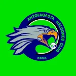 Halcones HC icon