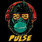 PULSE- AIIMS DELHI icon