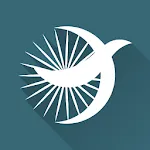 Berd Spoke Calculator icon