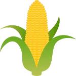 ખરીફ મકાઇ પાકની ખેતી પધ્ધતિ icon