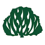 IP Rocha Eterna icon