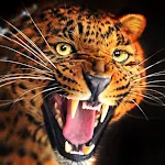Talking Cheetah icon