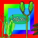 Plant Evolution icon