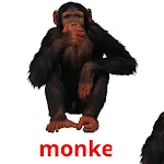 Random Animal Flashcards icon