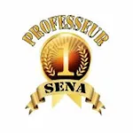 Rtv Professeur Sena icon