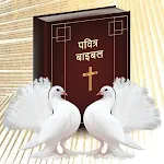 Bible Hindi icon