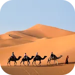 Desert Wallpaper 2025 icon