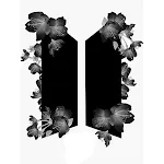 BTS Wallpaper HD 2K 4K icon