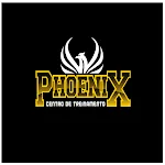 CT Phoenix icon