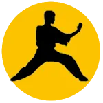 Kung Fu Fighting Soundboard icon